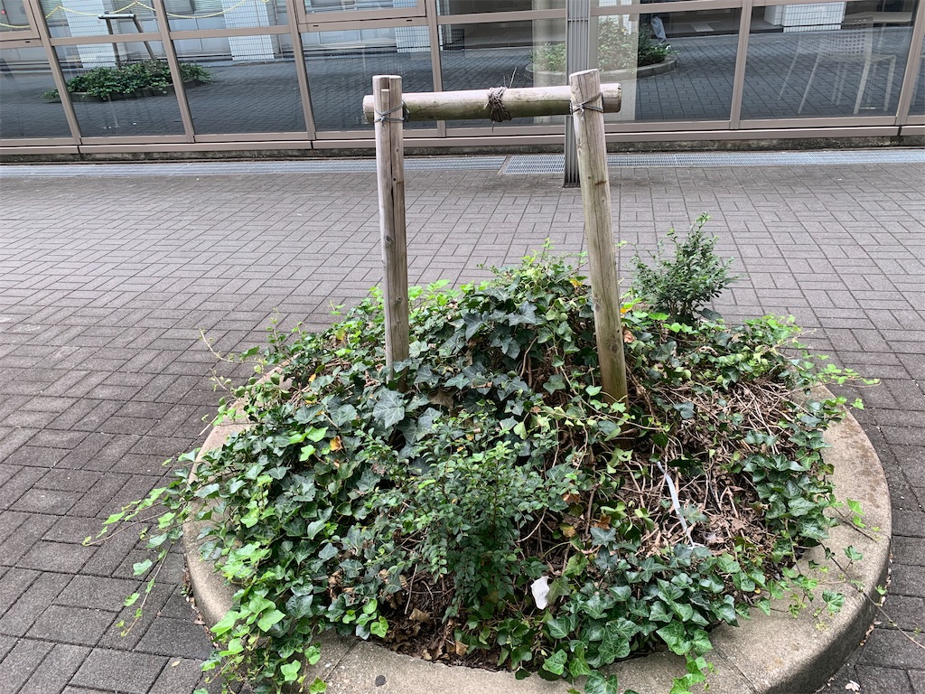 f:id:nujiyucho:20241114193540j:image