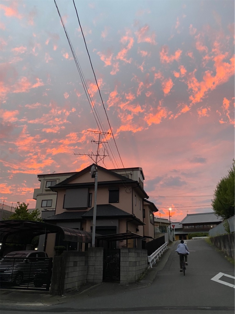 f:id:nukabukuro:20200927134645j:image f:id:nukabukuro:20200927134645j:image