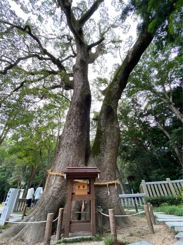 f:id:nukabukuro:20201030022113j:image