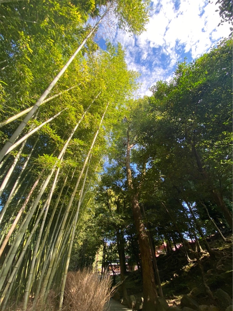 f:id:nukabukuro:20201220004621j:image