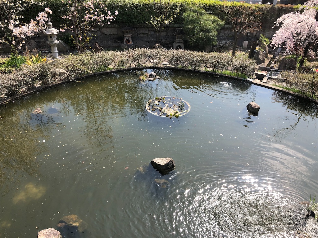 f:id:nukabukuro:20210409232718j:image