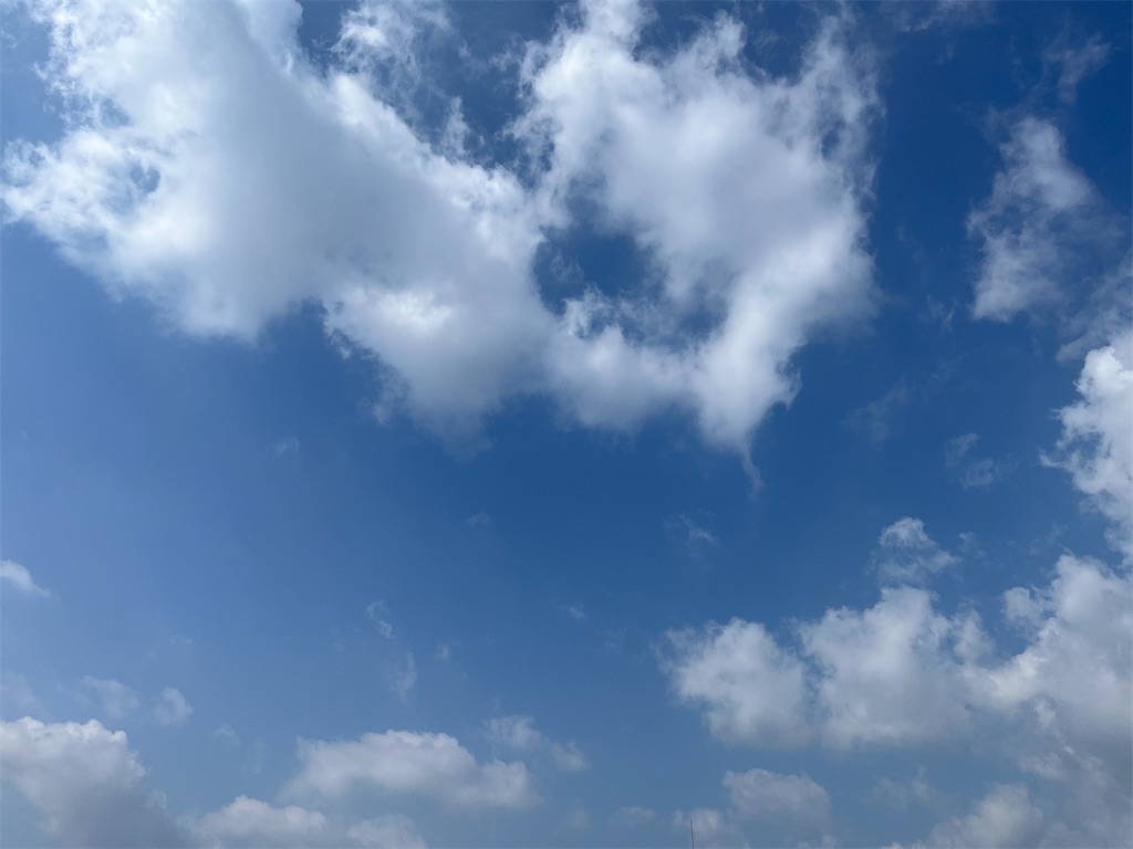 f:id:nukabukuro:20230314112450j:image f:id:nukabukuro:20230314112450j:image