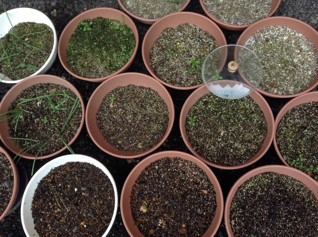 f:id:nukarumix:20180502095312j:plain f:id:nukarumix:20180502095312j:plain