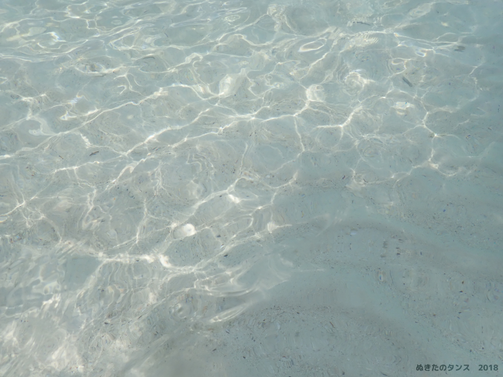 f:id:nuki-suda:20180605013108j:plain