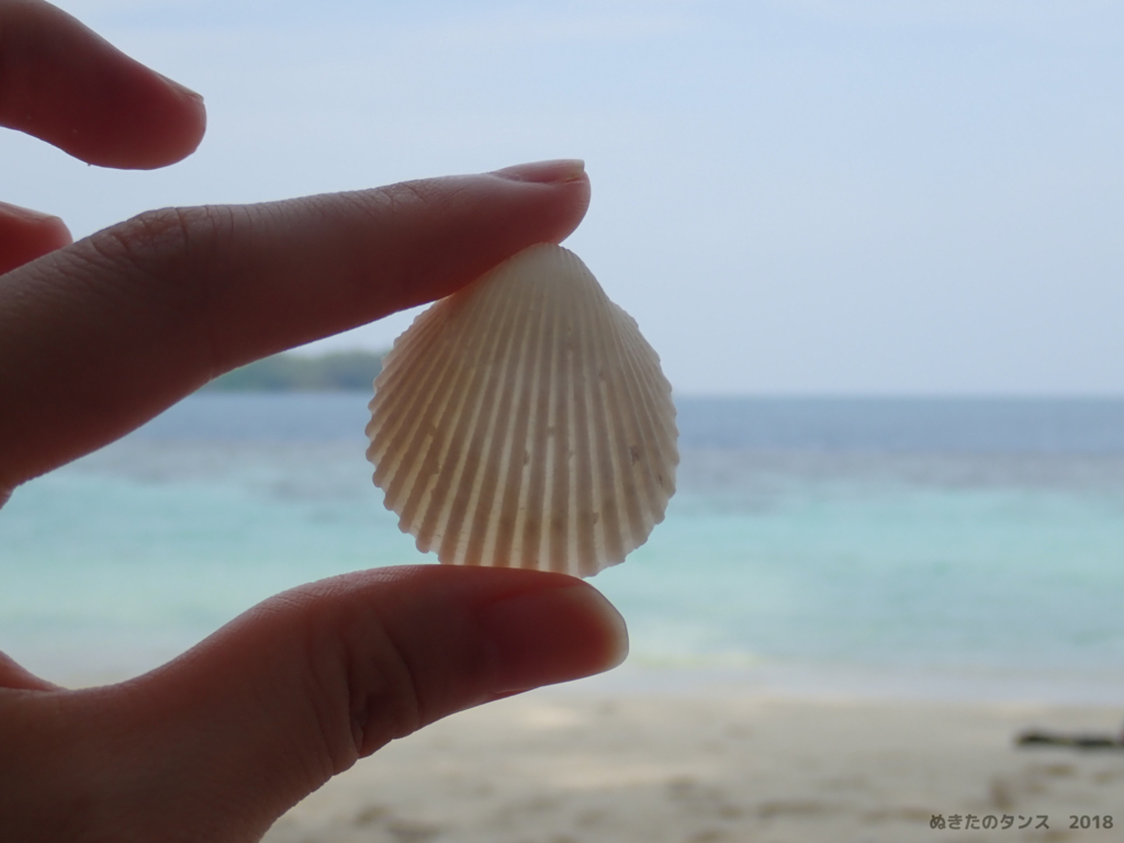 f:id:nuki-suda:20180605013153j:plain