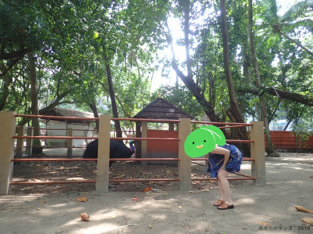f:id:nuki-suda:20180605013257j:plain