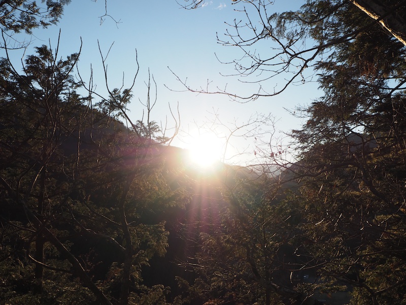 f:id:nukoblog:20170624231119j:plain