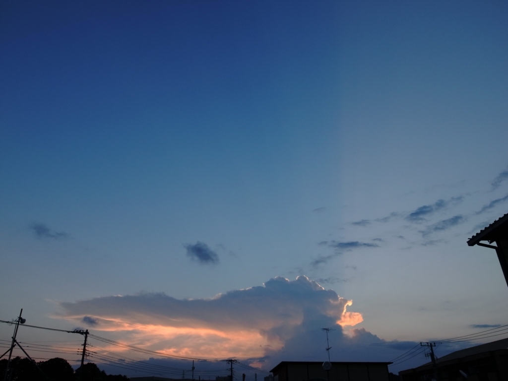 f:id:nukoblog:20170721230110j:plain f:id:nukoblog:20170721230110j:plain