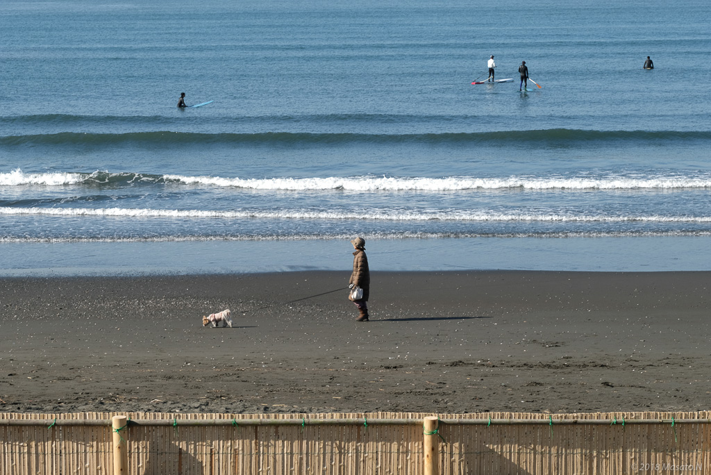 f:id:nukoblog:20180313204054j:plain
