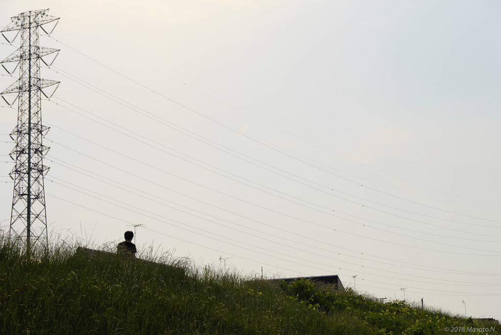 f:id:nukoblog:20180606222523j:plain