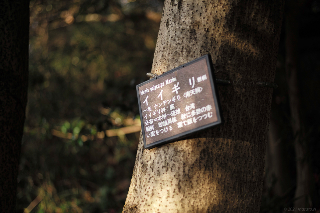 f:id:nukoblog:20211224132603j:plain