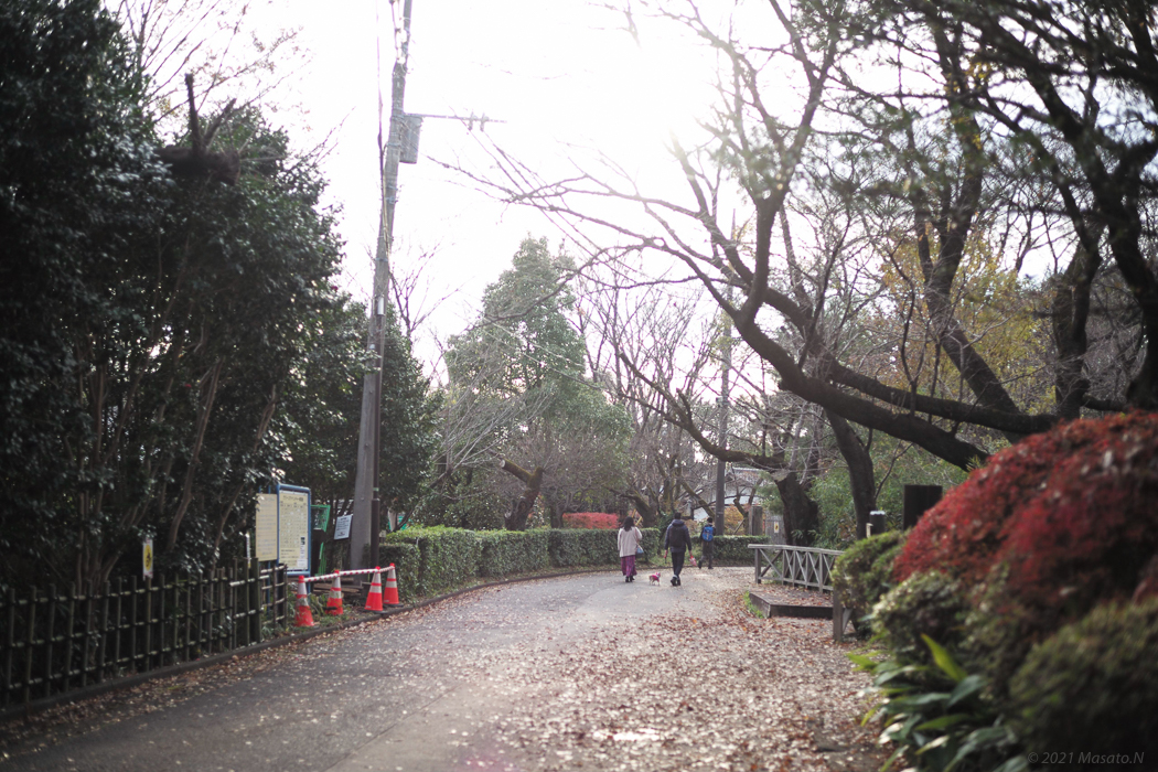 f:id:nukoblog:20211224132609j:plain