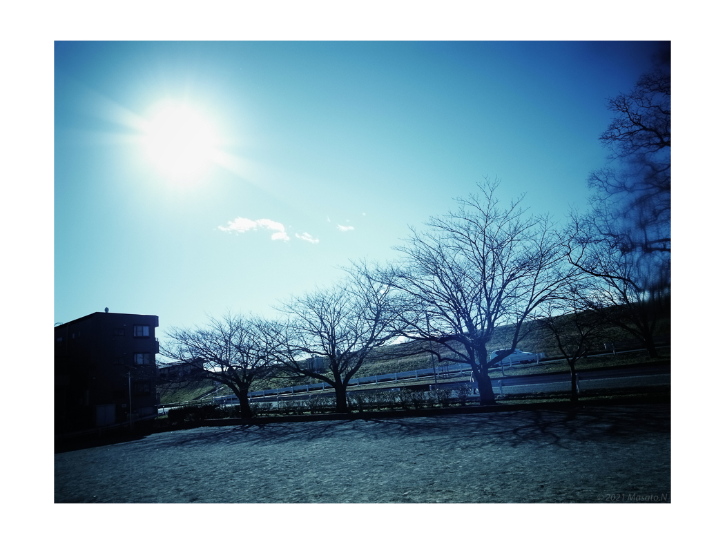 f:id:nukoblog:20211226184414j:plain