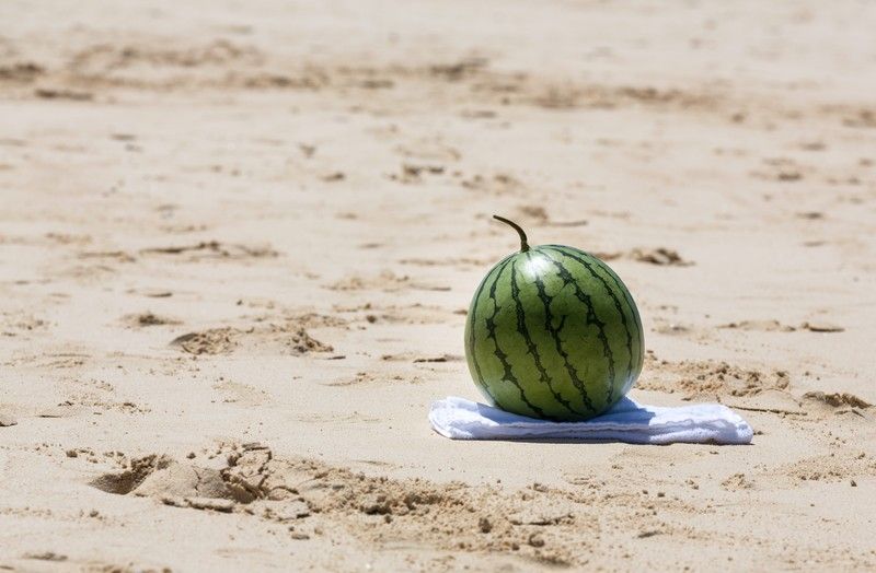 f:id:nukonyan131:20180719213626j:plain