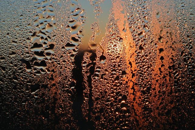 f:id:nukonyan131:20190103171606j:plain f:id:nukonyan131:20190103171606j:plain