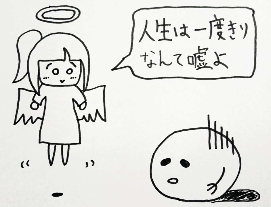 f:id:nukoyamanuko:20161219184343j:plain f:id:nukoyamanuko:20161219184343j:plain
