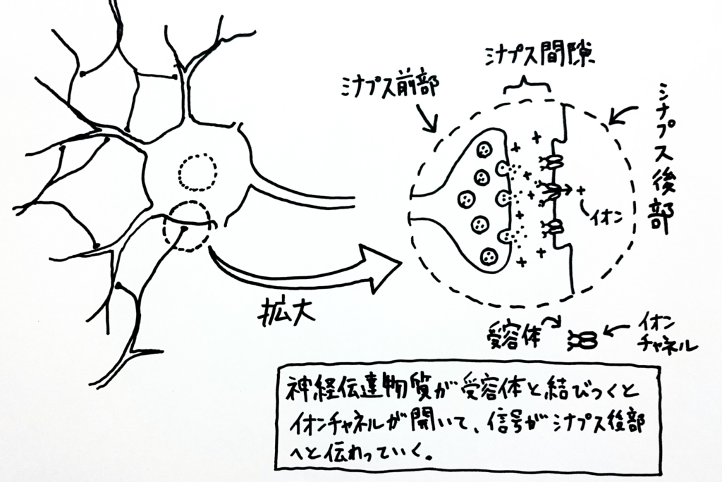 f:id:nukoyamanuko:20170223061230j:plain f:id:nukoyamanuko:20170223061230j:plain
