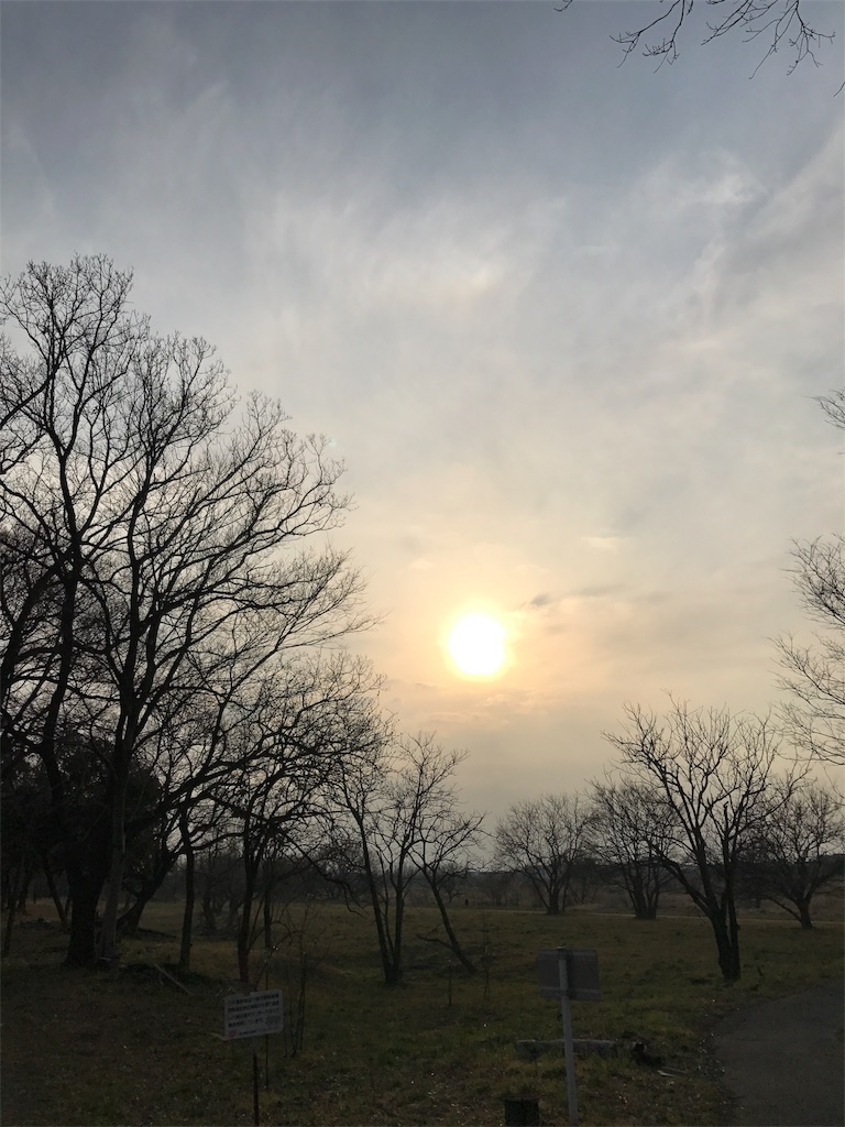 f:id:nukunukuhidamari:20170303062125j:image f:id:nukunukuhidamari:20170303062125j:image