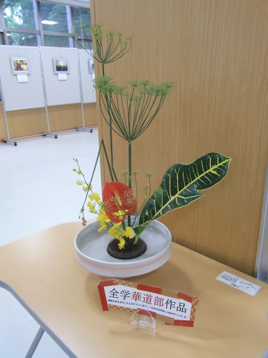 f:id:nulib:20160831084104p:plain