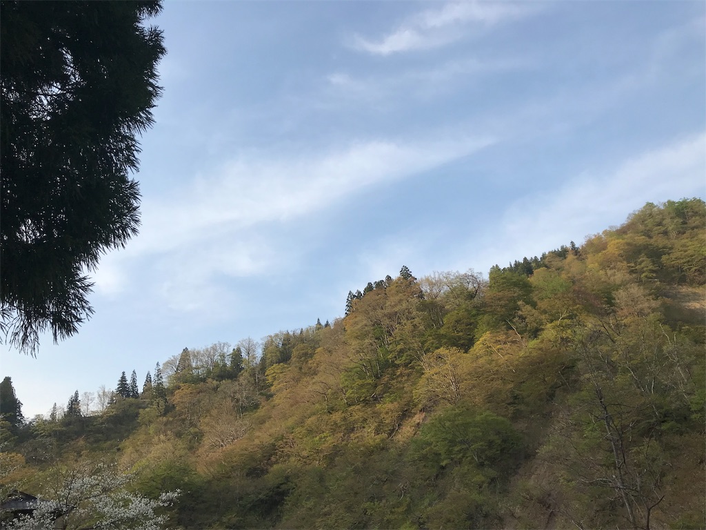 f:id:null11blg:20190625154630j:image f:id:null11blg:20190625154630j:image