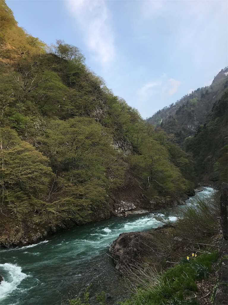 f:id:null11blg:20190625154706j:image f:id:null11blg:20190625154706j:image