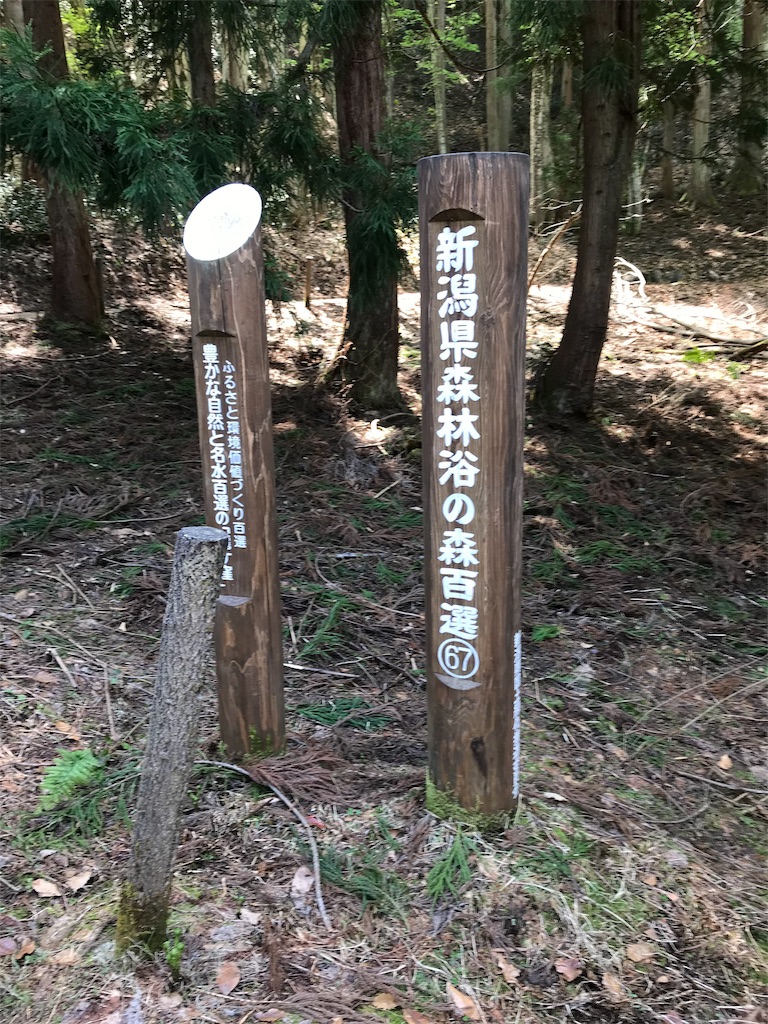 f:id:null11blg:20190625154840j:image f:id:null11blg:20190625154840j:image