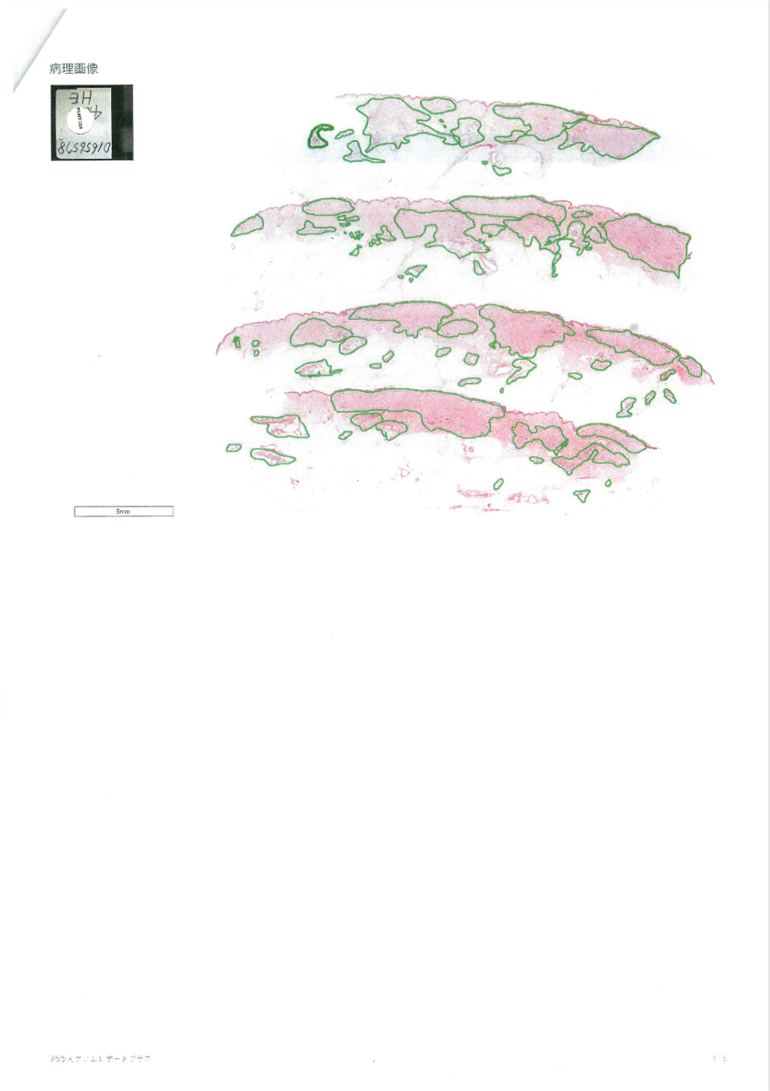 f:id:nullnilaki:20191010022940p:plain
