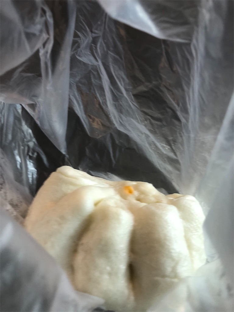 f:id:nullnuma:20190314130935j:image