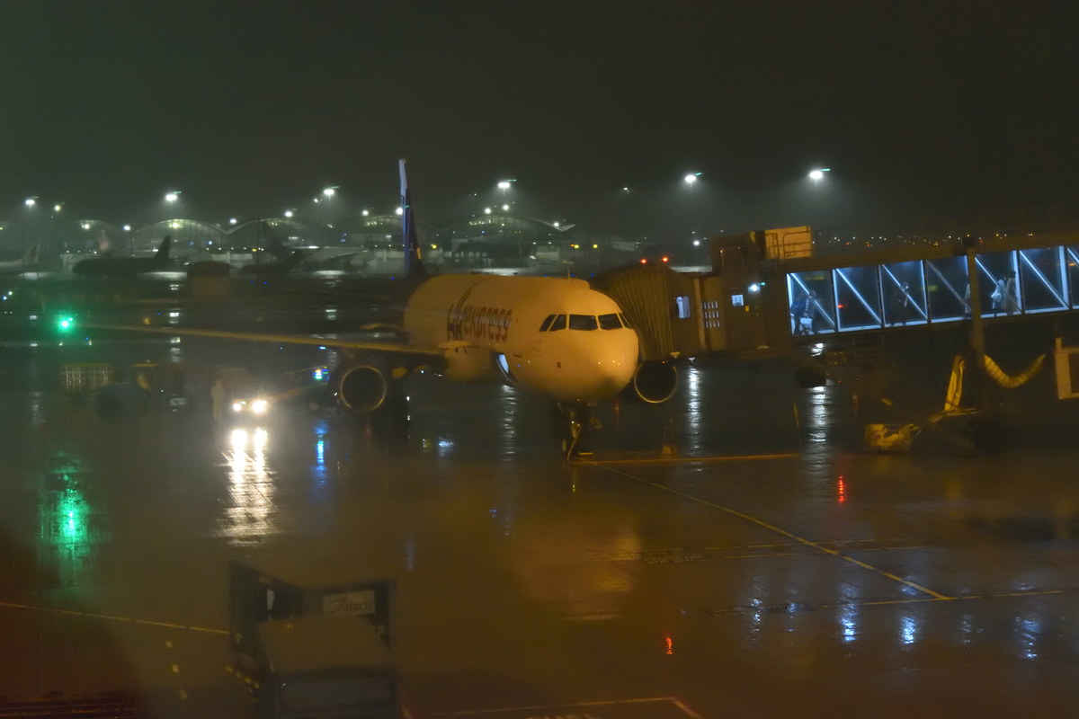 f:id:nullnuma:20190321193541j:plain