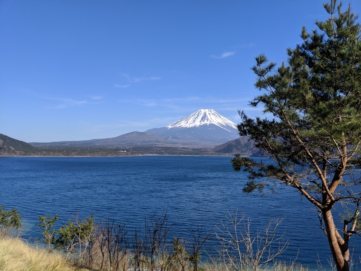 f:id:nullpo99:20190421093912j:plain f:id:nullpo99:20190421093912j:plain