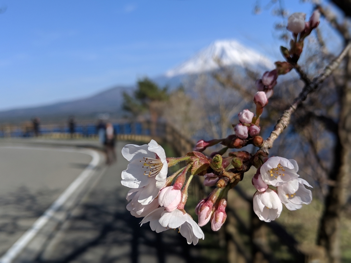 f:id:nullpo99:20190421093919j:plain f:id:nullpo99:20190421093919j:plain