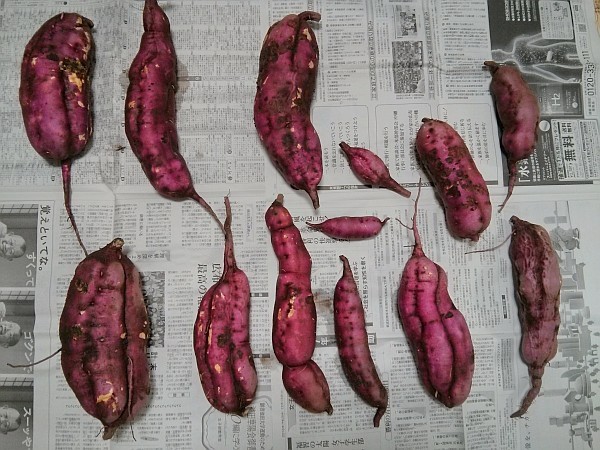 f:id:nullpobug:20171028140245j:plain f:id:nullpobug:20171028140245j:plain