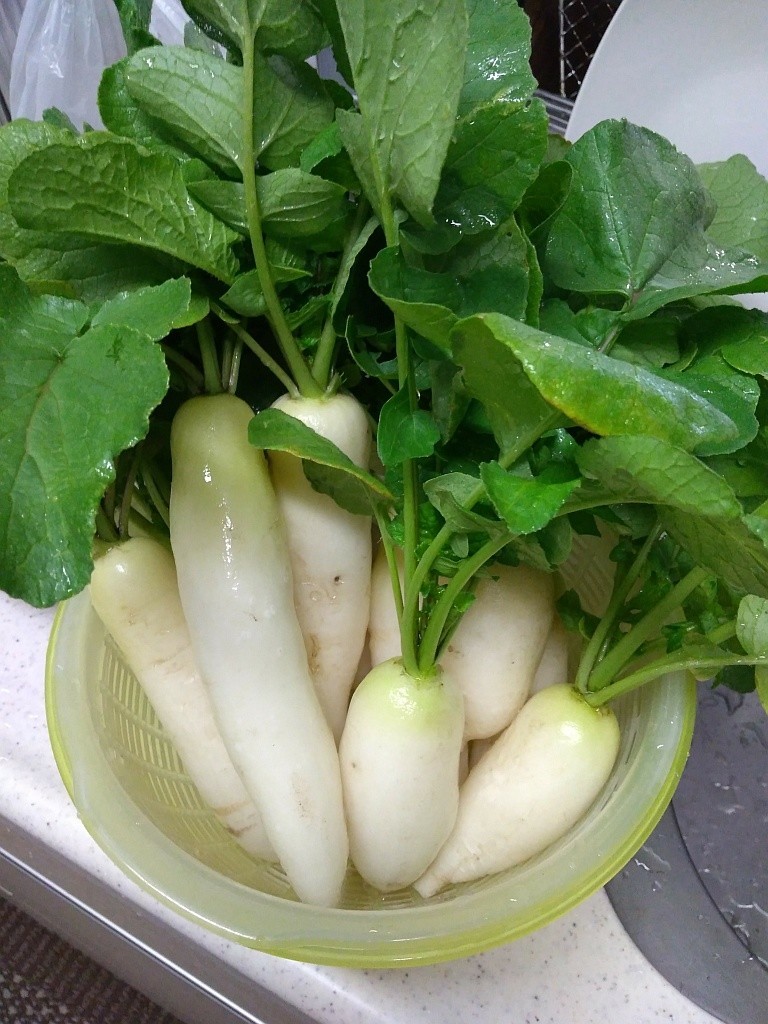 f:id:nullpobug:20180513141322j:plain