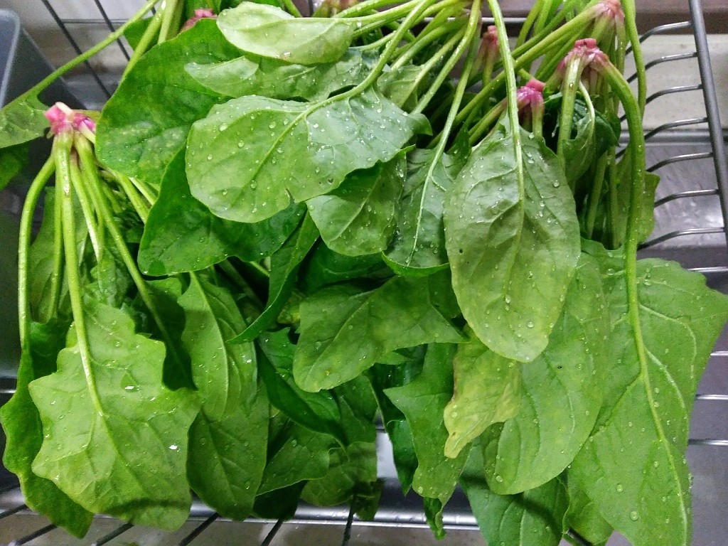 f:id:nullpobug:20180513144938j:plain