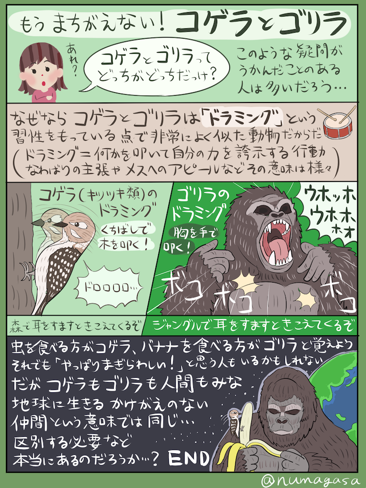 沼の見える街