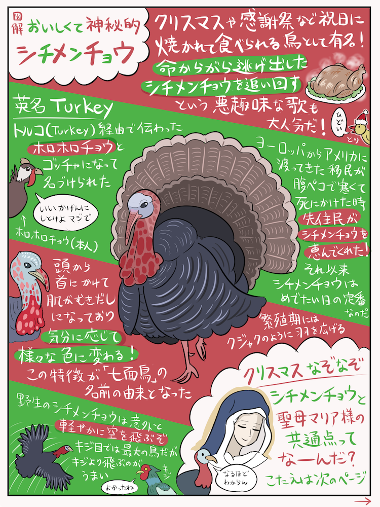 クリスマスにはシチメンチョウ - 沼の見える街