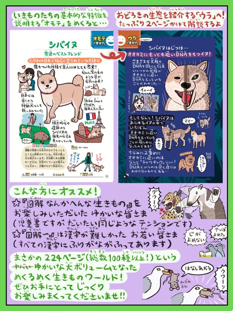 f:id:numagasa:20180404111006p:plain