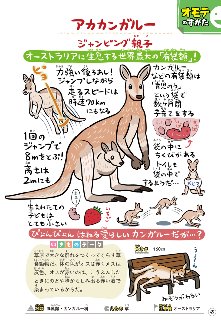 f:id:numagasa:20180404111251p:plain