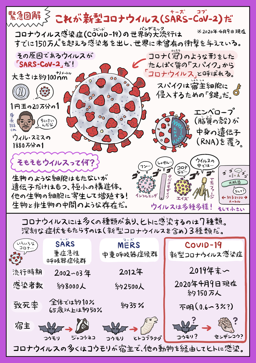 f:id:numagasa:20200411141251j:plain f:id:numagasa:20200411141251j:plain