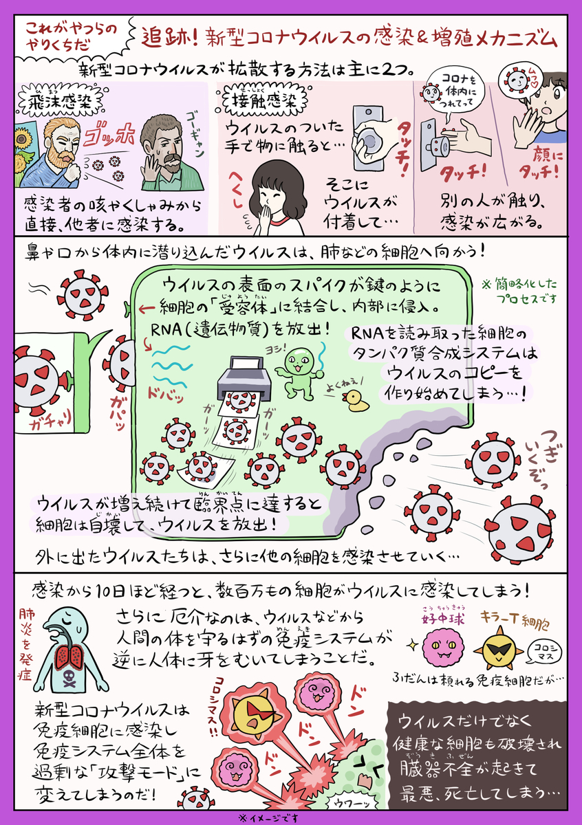 f:id:numagasa:20200411141313j:plain f:id:numagasa:20200411141313j:plain