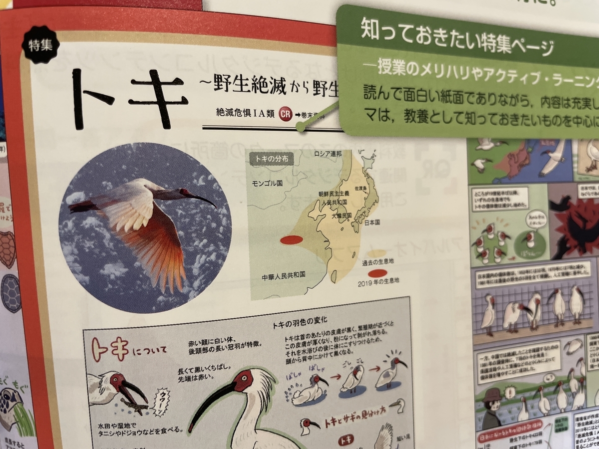 教科書 高校生物基礎 のイラスト等を担当しました 沼の見える街