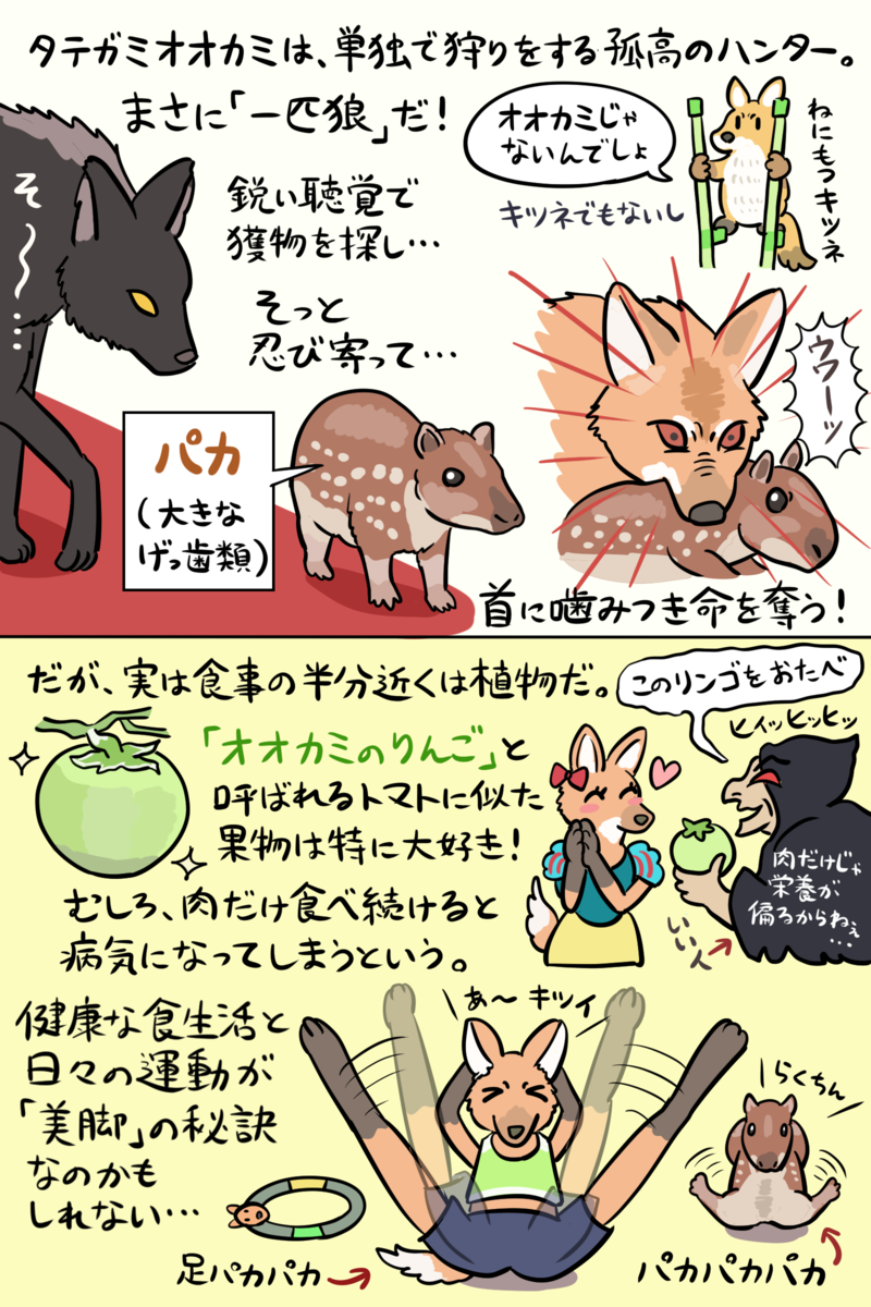 Amazon.co.jp: Collcta タテガミオオカミ よこ8cm×たて7.5cm