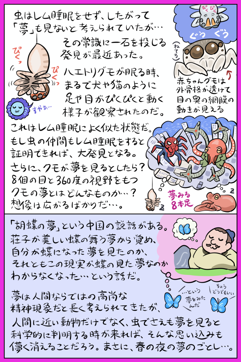 公の場での発言・インタビュー報道記録