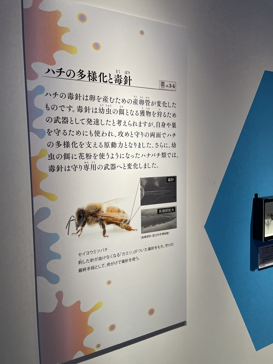 国立科学博物館の特別展「毒」に行ったよ毒毒レポート - 沼の見える街