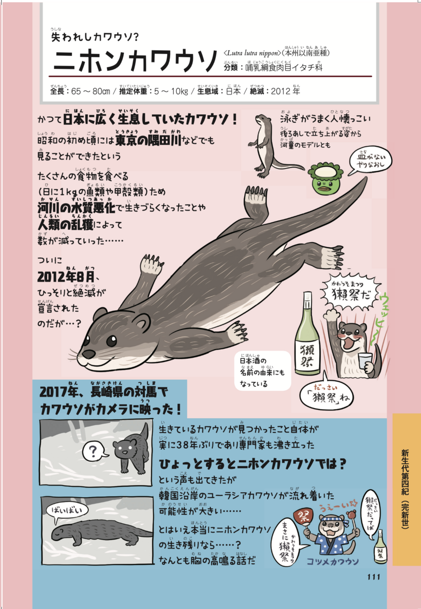 世界カワウソの日2023！ - 沼の見える街