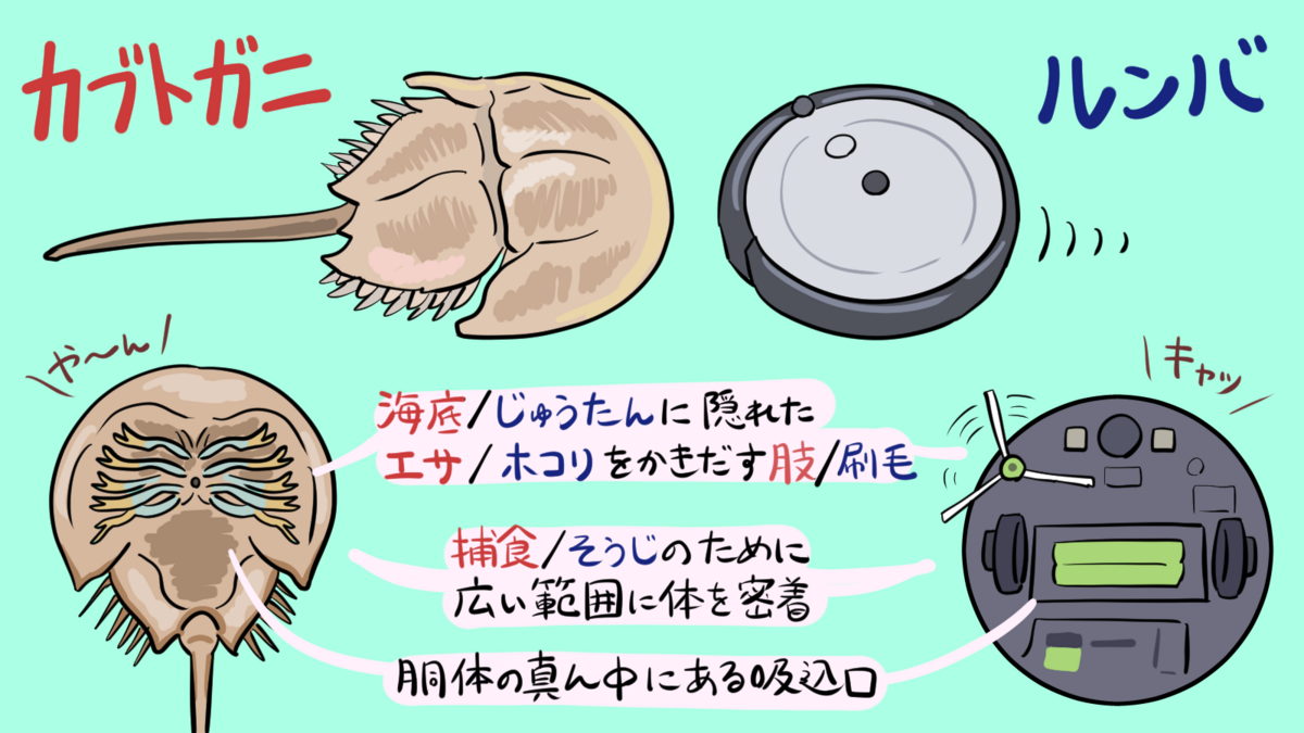 カブトガニ＆ルンバ（『ロボットはなぜ生き物に似てしまうのか