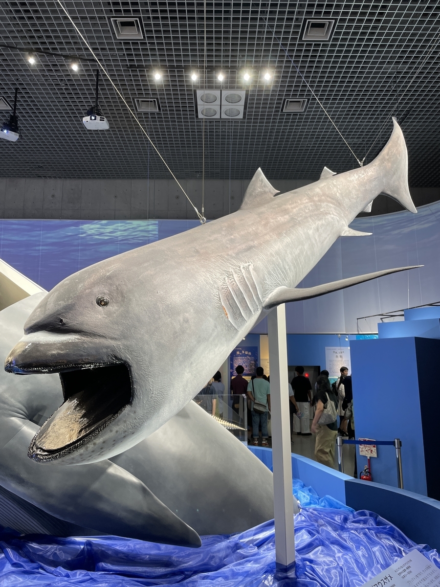 鑑定団級のお宝！東京国立科学博物館の探検館で実際に使われてい