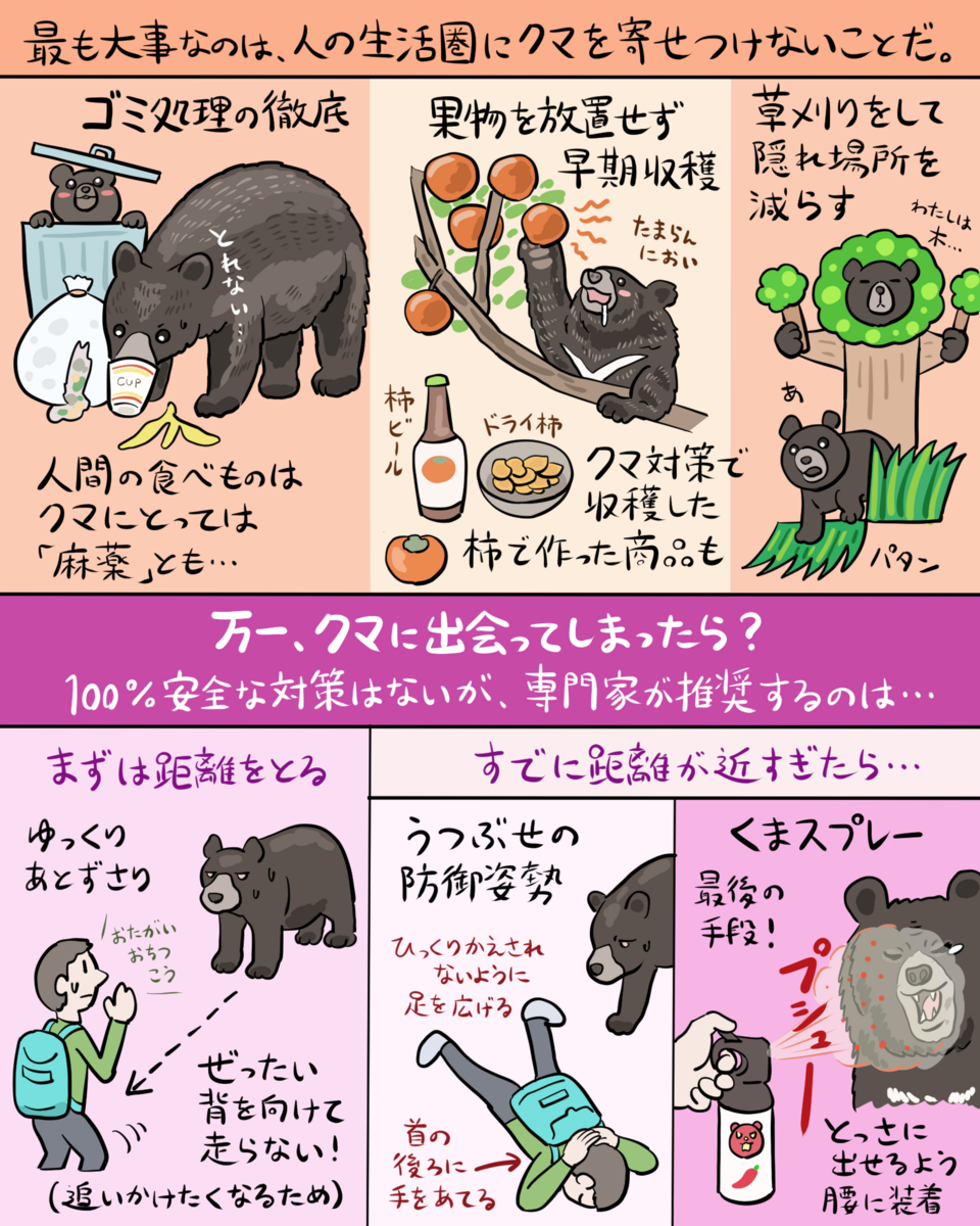 アーバン・ベア！ 「町にやってくるクマ」図解 - 沼の見える街