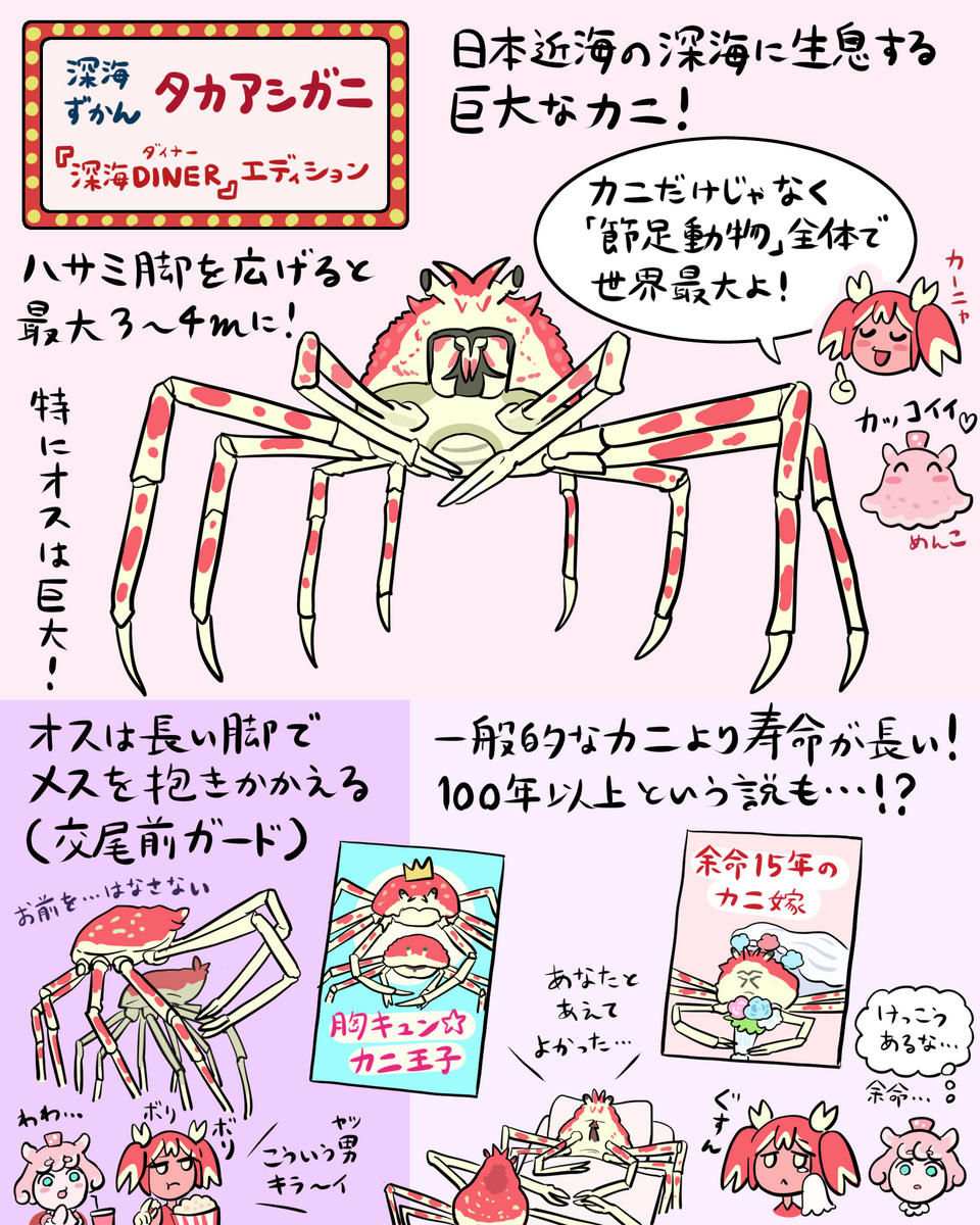 生物細密画画「タカアシガニ」 生物細密画画「タカアシガニ」 絵画