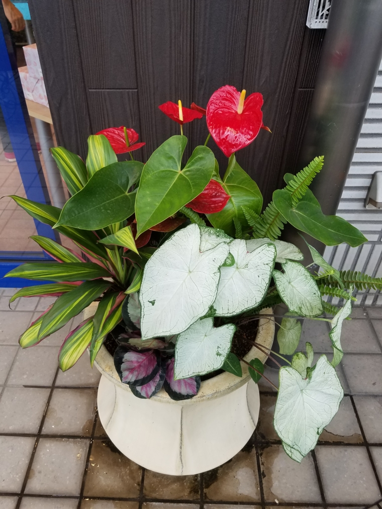 f:id:numamama:20160911113410j:plain f:id:numamama:20160911113410j:plain